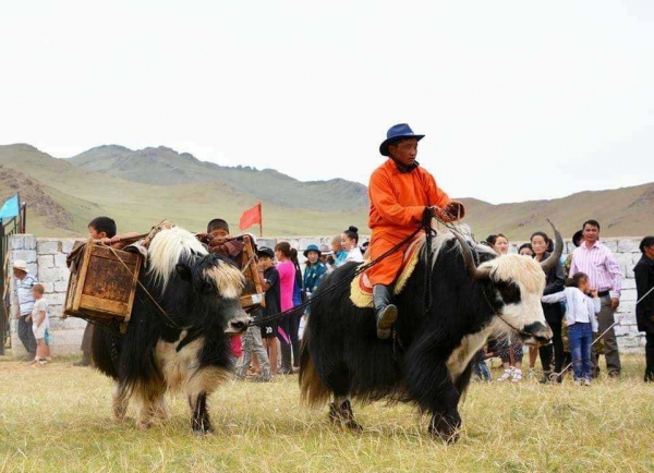 50'000 yaks festival